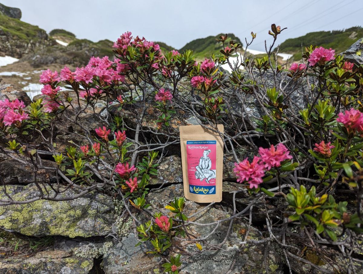 KoffeinKakao mit Kolanuss - ungesüßt in Blüten und Schnee in den Alpen